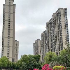 罩光面漆